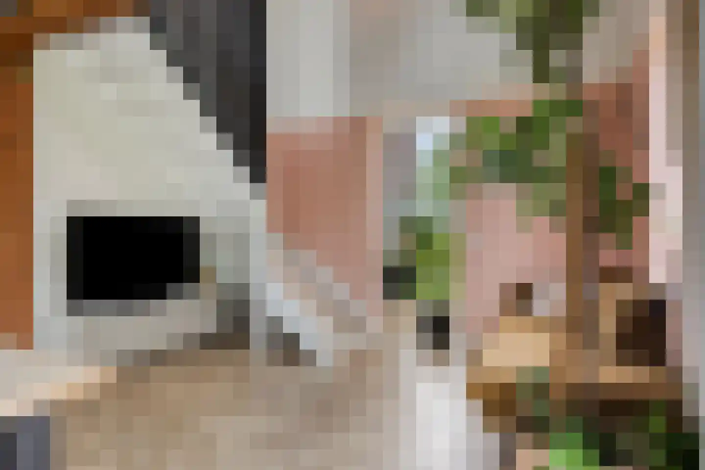 Molenweg 3 a Heino thumbnail 29