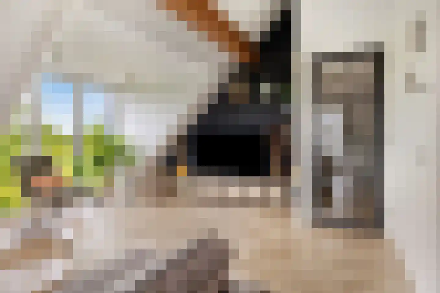 Molenweg 3 a Heino thumbnail 33