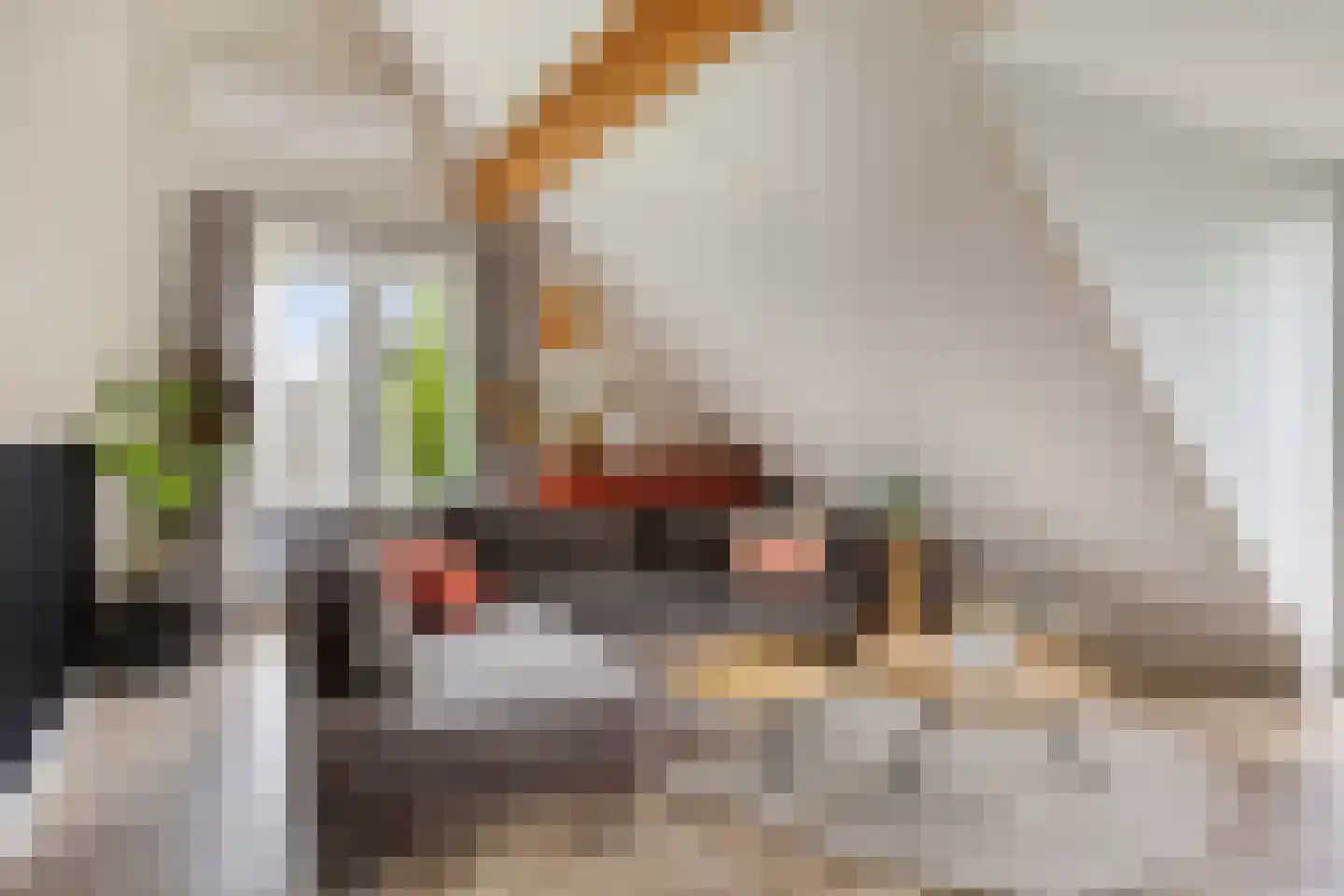 Molenweg 3 a Heino thumbnail 35