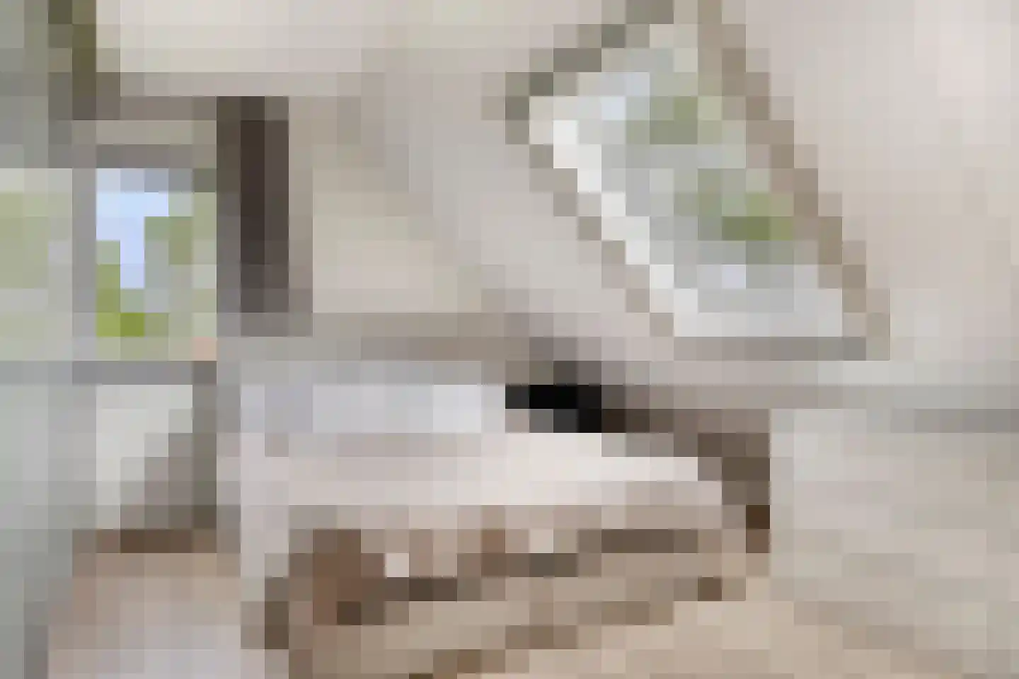 Molenweg 3 a Heino thumbnail 37