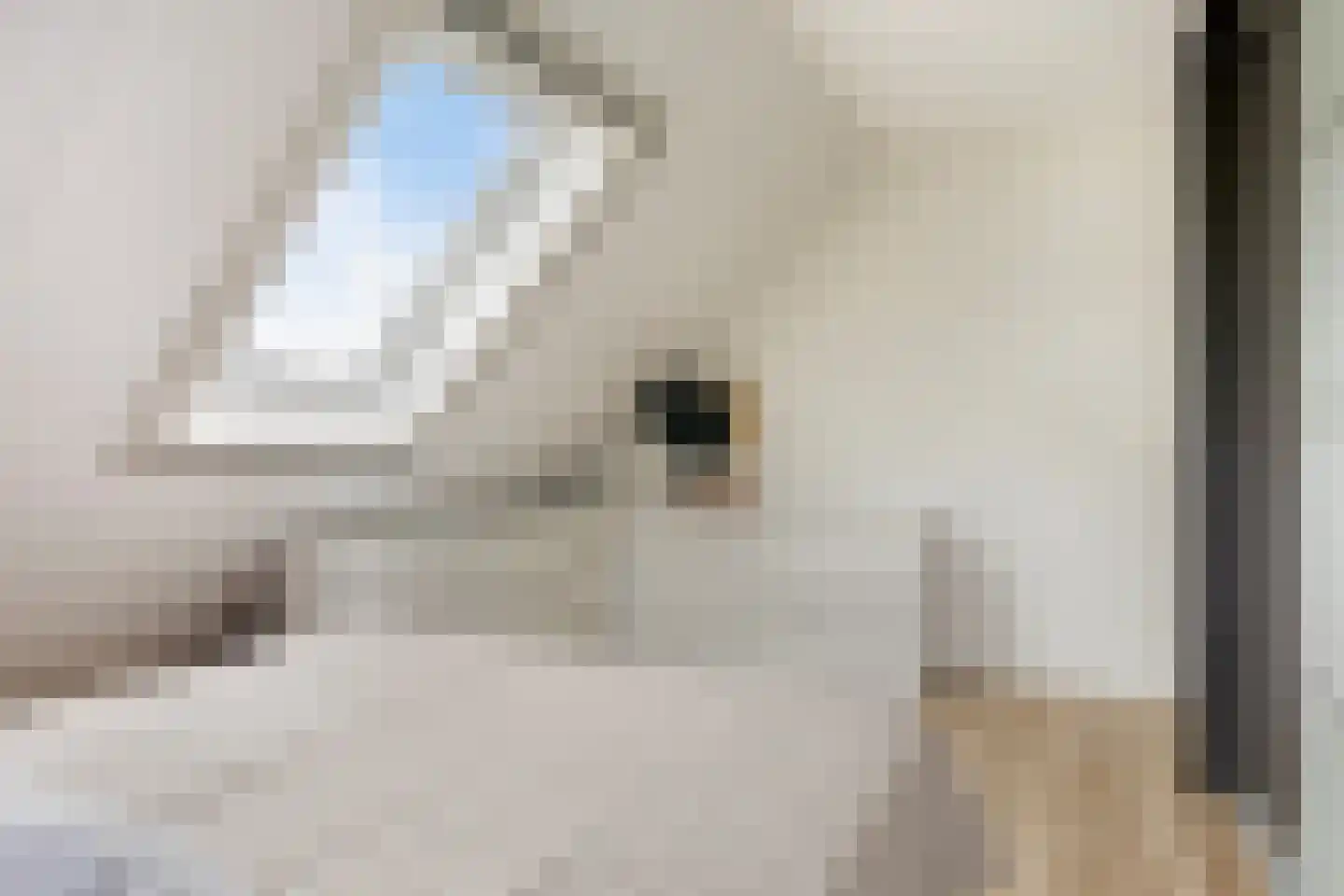 Molenweg 3 a Heino thumbnail 38