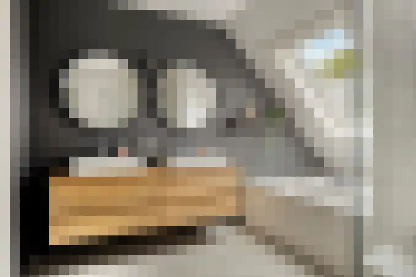 Molenweg 3 a Heino thumbnail 39