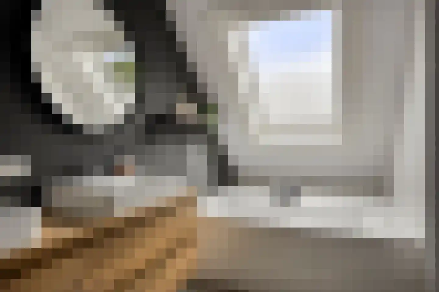 Molenweg 3 a Heino thumbnail 41