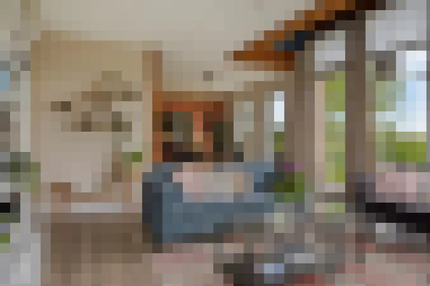 Molenweg 3 a Heino thumbnail 52