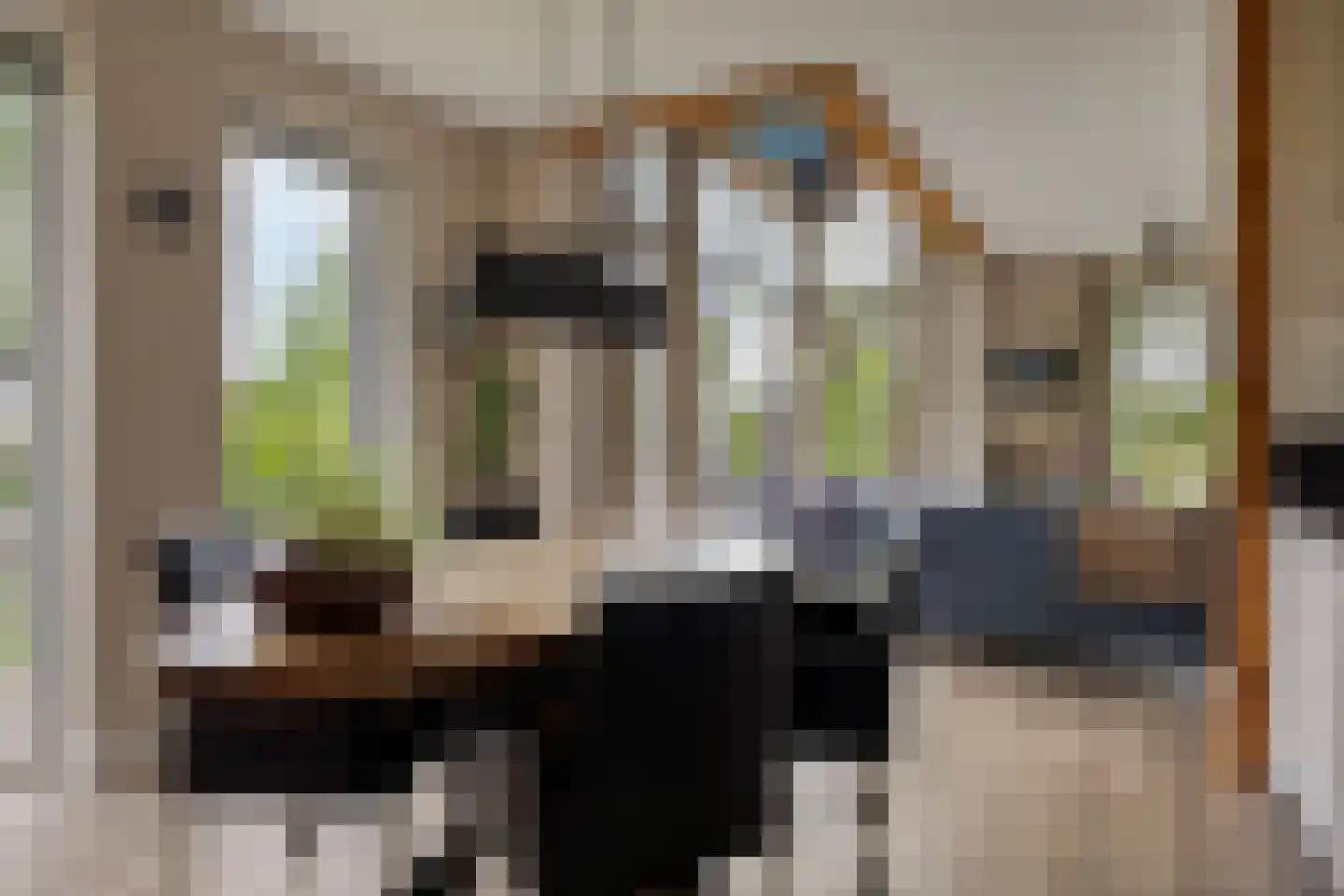 Molenweg 3 a Heino thumbnail 59