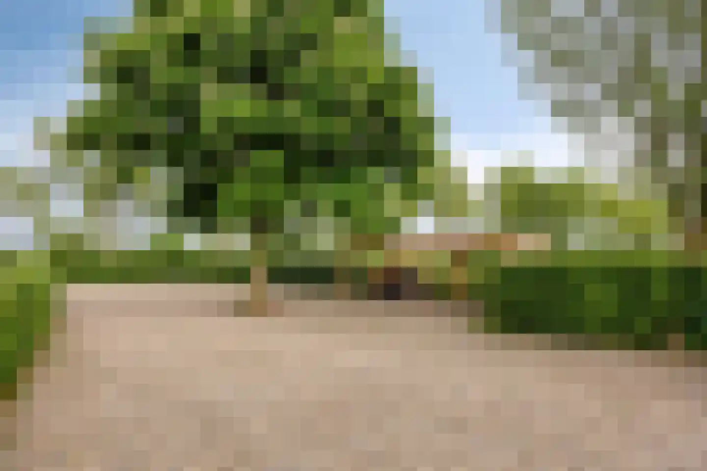 Molenweg 3 a Heino thumbnail 8