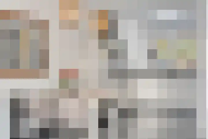 Molenweg 3 Buggenum thumbnail 11