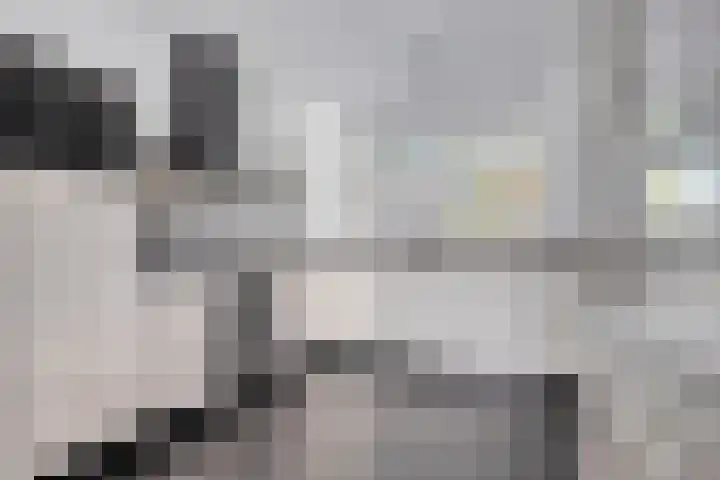Molenweg 3 Buggenum thumbnail 14