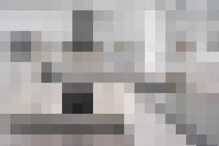 Molenweg 3 Buggenum thumbnail 15
