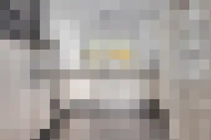 Molenweg 3 Buggenum thumbnail 16