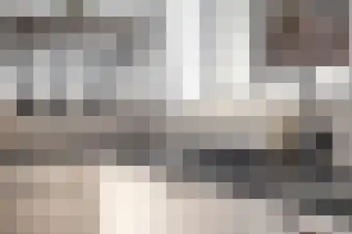Molenweg 3 Buggenum thumbnail 17