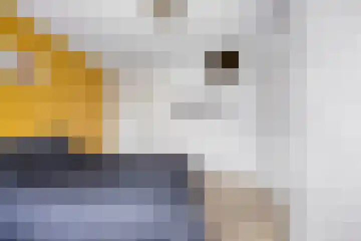 Molenweg 3 Buggenum thumbnail 21