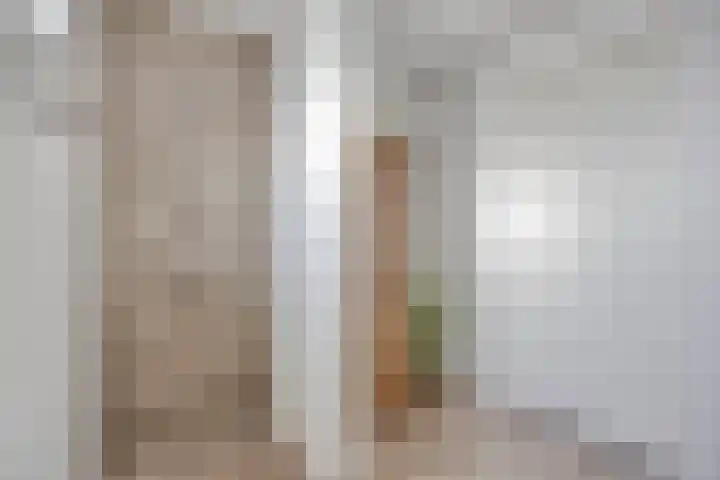Molenweg 3 Buggenum thumbnail 24