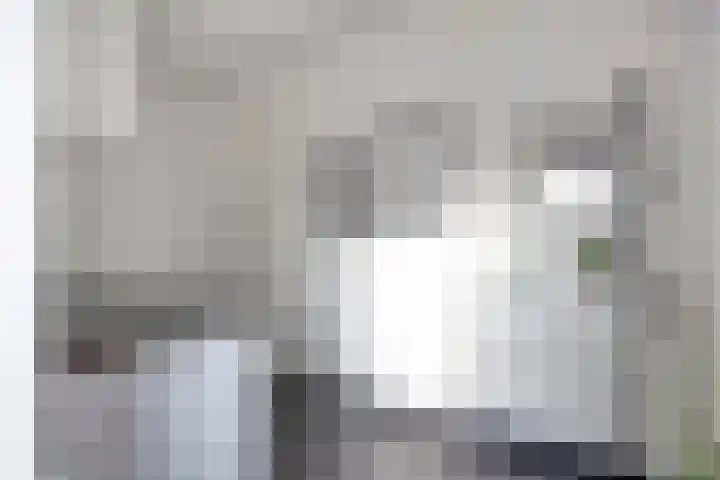 Molenweg 3 Buggenum thumbnail 26