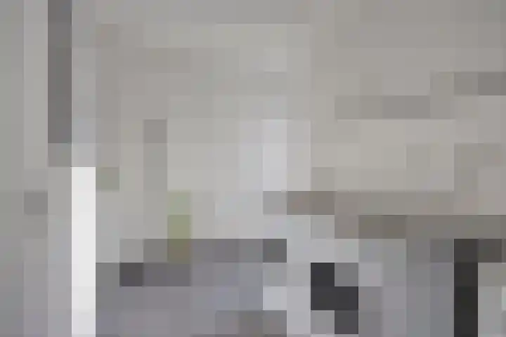 Molenweg 3 Buggenum thumbnail 27