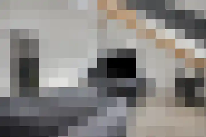 Molenweg 3 Buggenum thumbnail 31