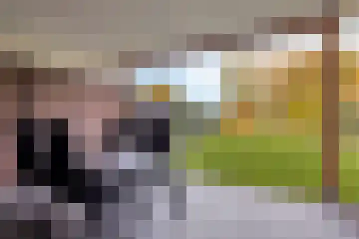 Molenweg 3 Buggenum thumbnail 35