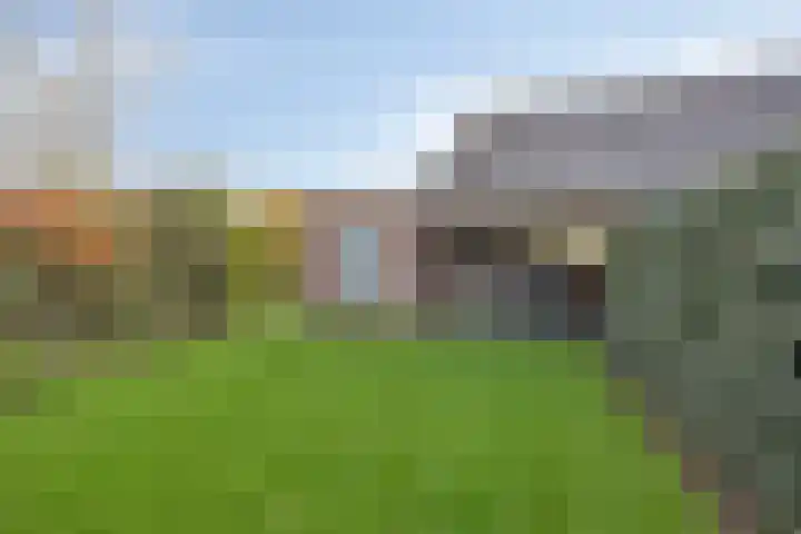 Molenweg 3 Buggenum thumbnail 37