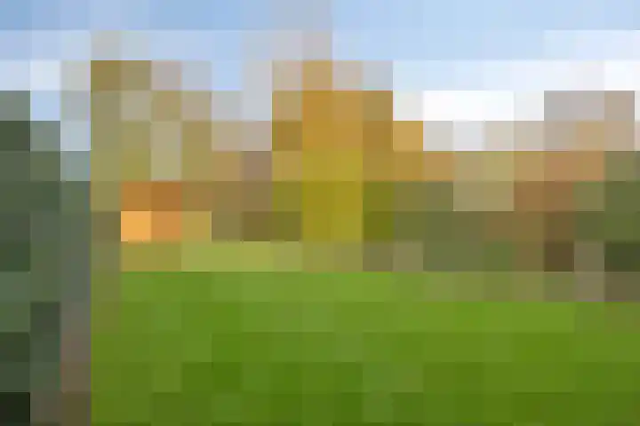 Molenweg 3 Buggenum thumbnail 38