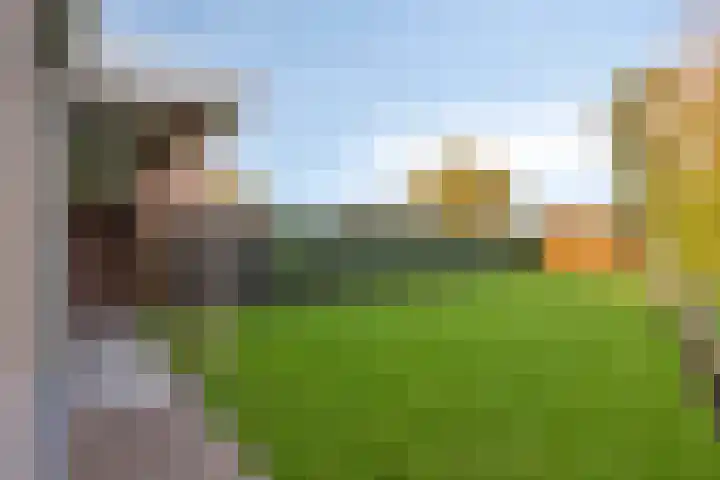Molenweg 3 Buggenum thumbnail 39