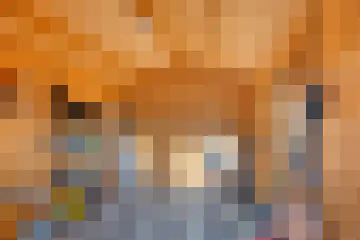 Molenweg 3 Buggenum thumbnail 40