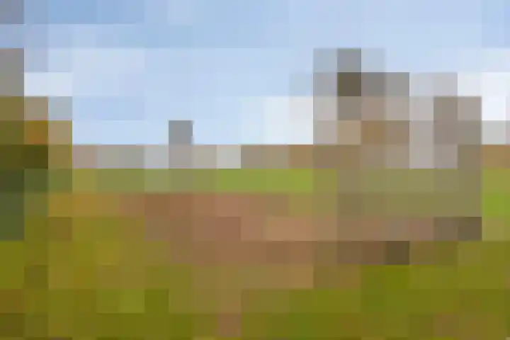 Molenweg 3 Buggenum thumbnail 44