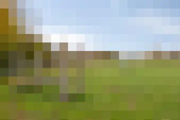 Molenweg 3 Buggenum thumbnail 45