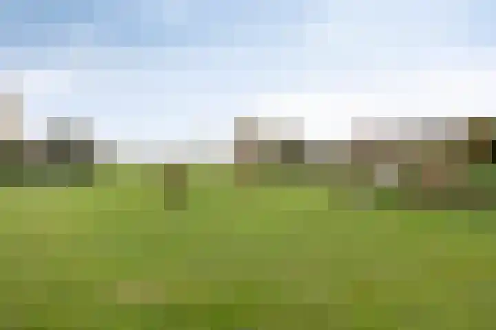 Molenweg 3 Buggenum thumbnail 46