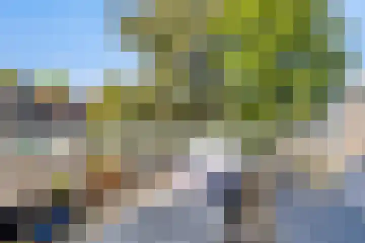 Molenweg 3 c Enkhuizen thumbnail 14