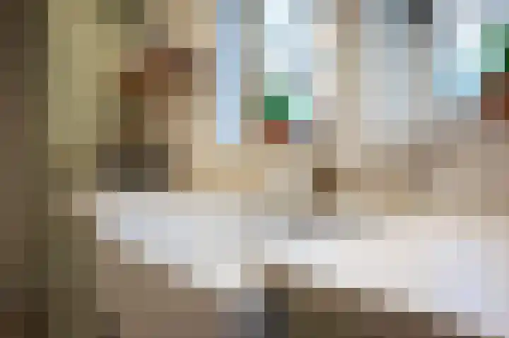 Molenweg 3 Epen thumbnail 18