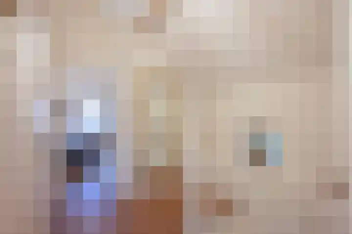 Molenweg 3 Epen thumbnail 25