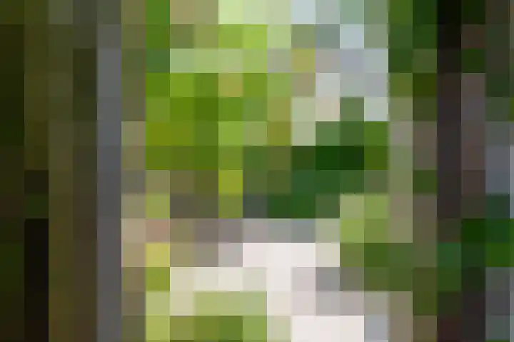 Molenweg 3 Epen thumbnail 59