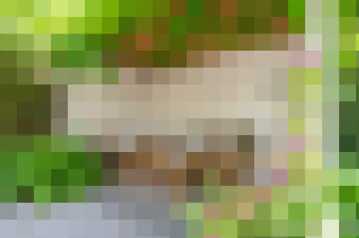 Molenweg 3 Epen thumbnail 62