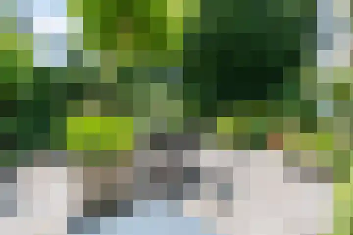 Molenweg 3 Epen thumbnail 63