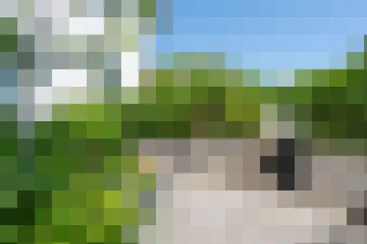 Molenweg 3 Epen thumbnail 65