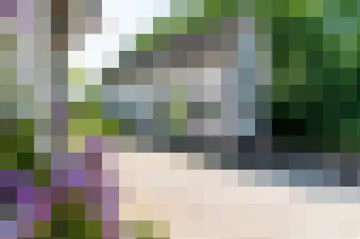 Molenweg 3 Epen thumbnail 70