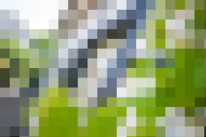 Molenweg 3 Epen thumbnail 72