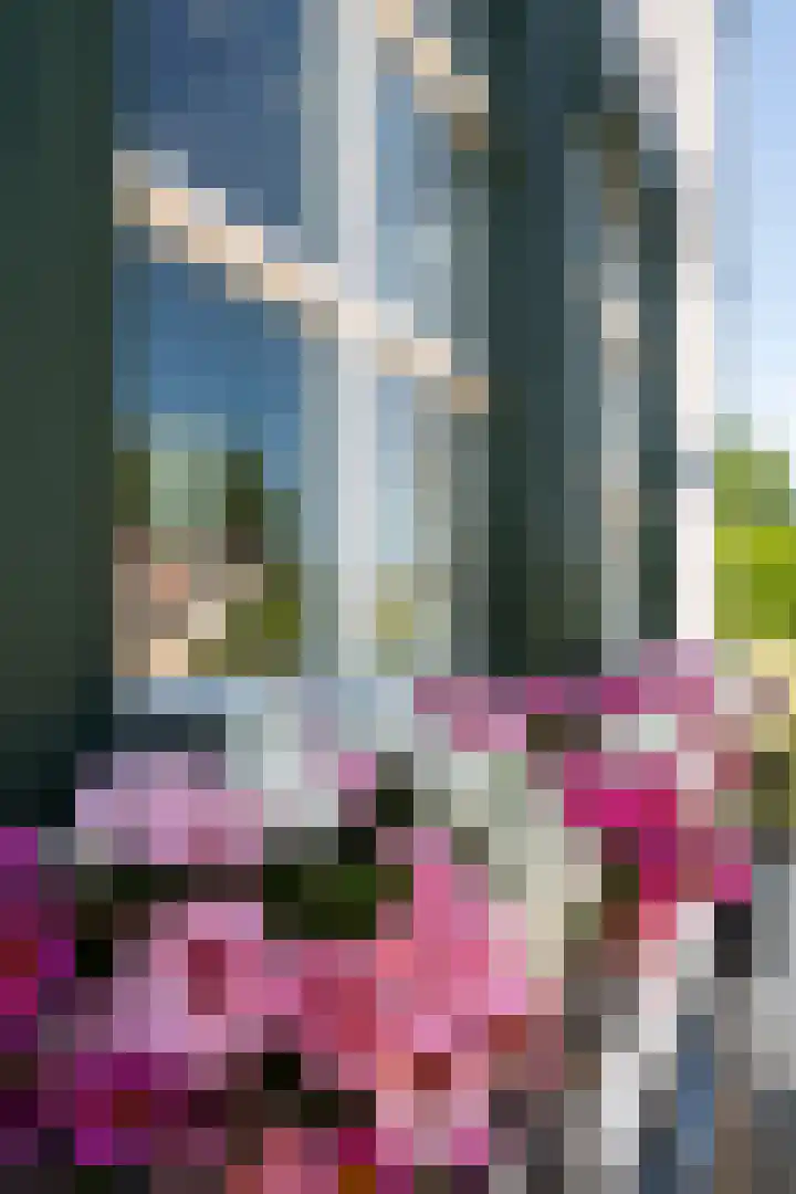 Molenweg 3 Epen thumbnail 73