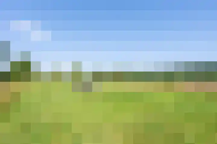 Molenweg 3 Epen thumbnail 78