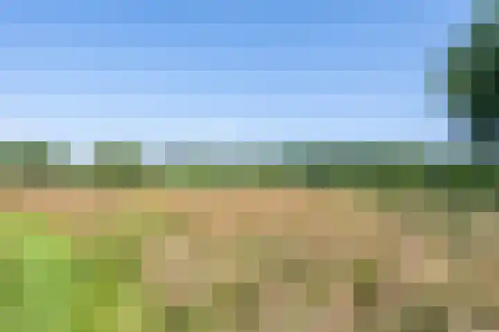 Molenweg 3 Epen thumbnail 79