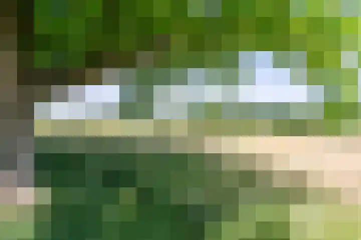 Molenweg 3 Epen thumbnail 80