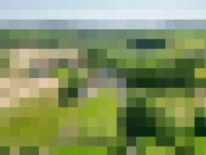 Molenweg 3 Epen thumbnail 83