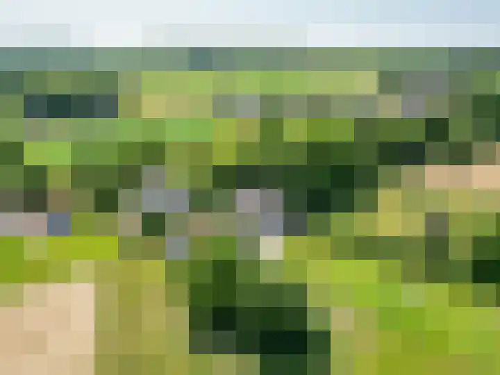 Molenweg 3 Epen thumbnail 85