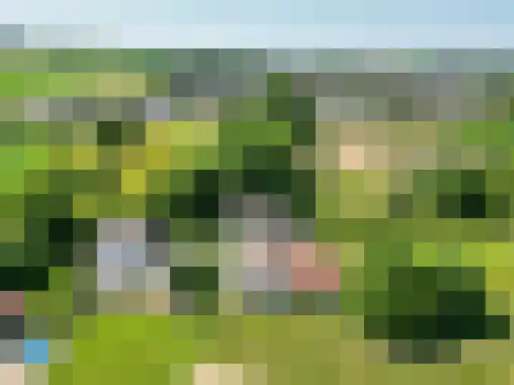 Molenweg 3 Epen thumbnail 86