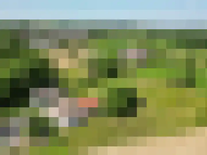 Molenweg 3 Epen thumbnail 87
