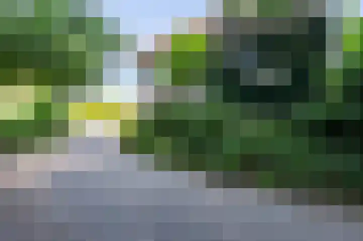 Molenweg 3 Epen thumbnail 93