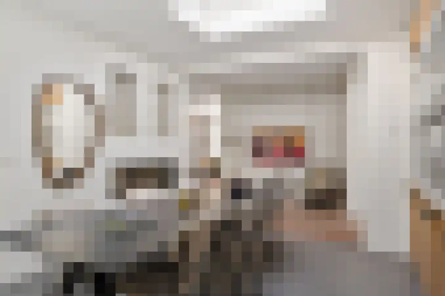Molenweg 3 Heiloo thumbnail 26