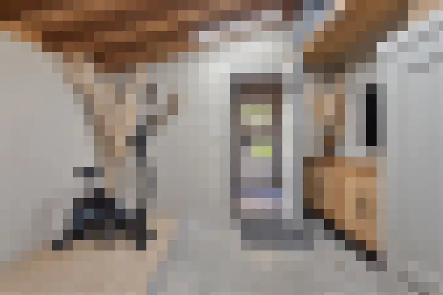 Molenweg 3 Heiloo thumbnail 32