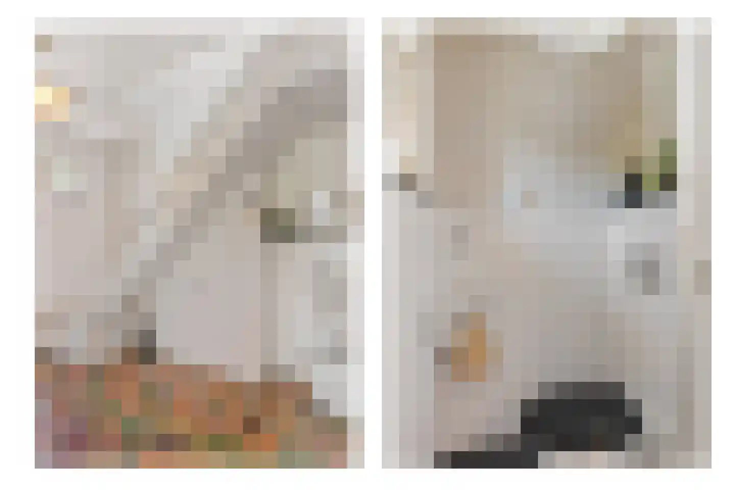Molenweg 3 Heiloo thumbnail 33