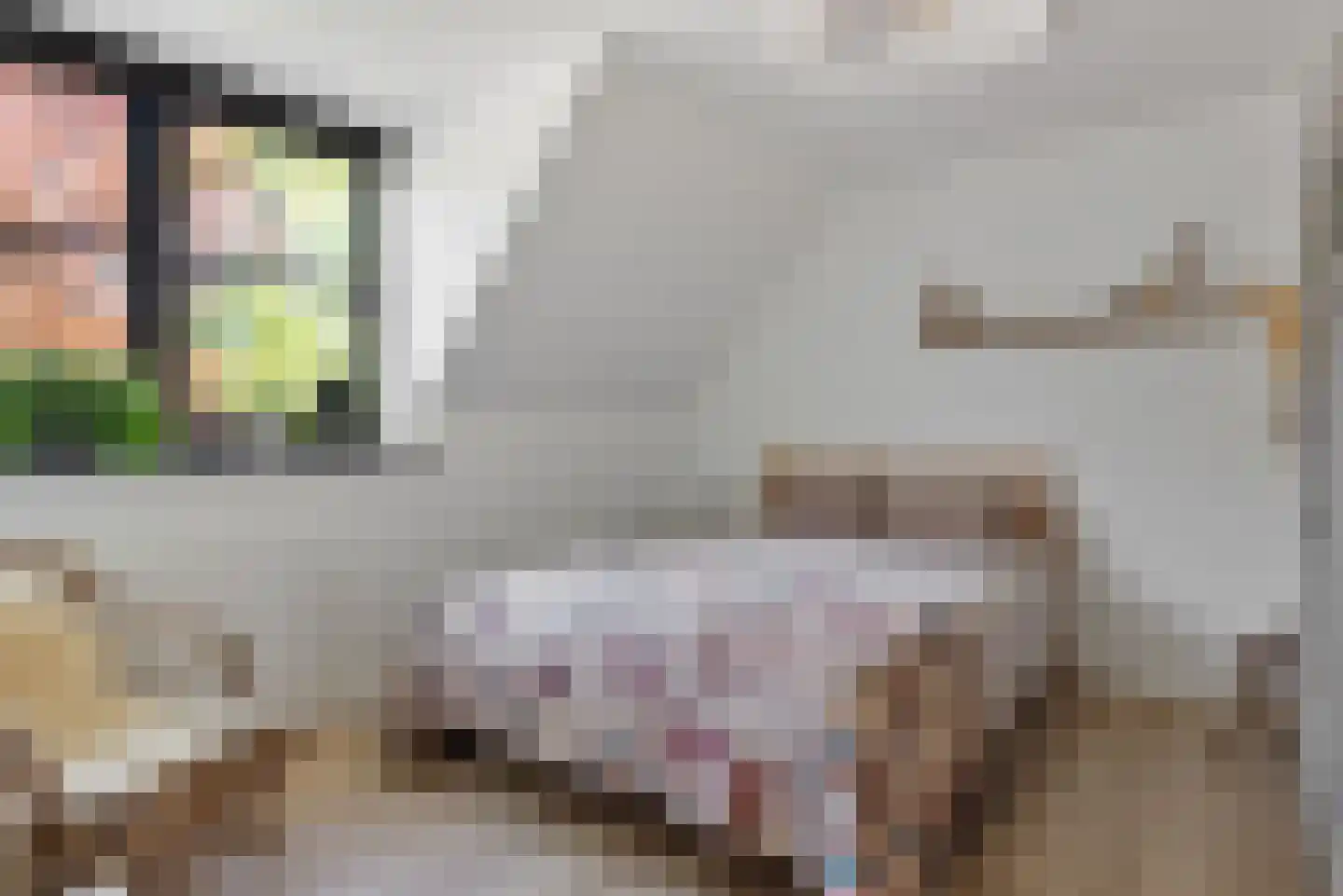 Molenweg 3 Heiloo thumbnail 37